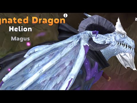 Helion Magus Dragon Live Tournament! - Hungry Dragon