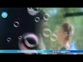 Magha Masam Eppudostundho WhatsApp Status