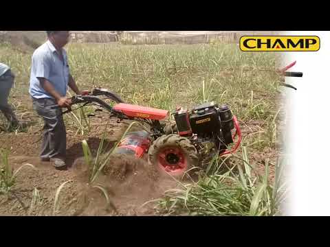 PTD 700 Diesel Rear Tyne Power Weeder