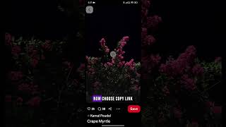 Download lagu How to Put Pinterest Video on WhatsApp 2025 – Simply Quick Tutorial mp3