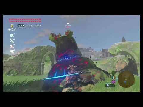 2-shot a decayed guardian