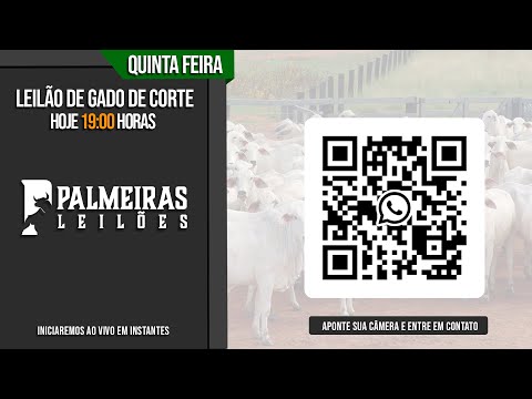 Palmeiras Leilões-  Palmeiras de Goiás 16/04/26