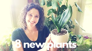 New Houseplant Additions