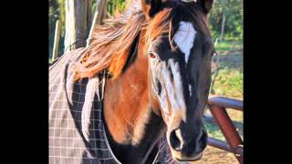 Kasey Chambers - "Return of the Grievous Angel"