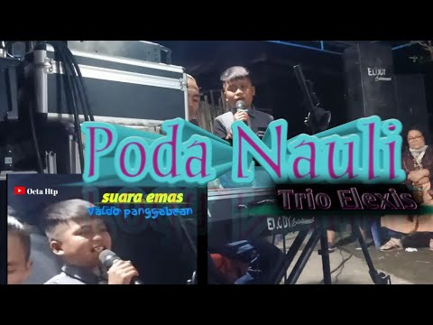 Poda Nauli (Trio Elexis) Cover_VALDO PANGGABEAN