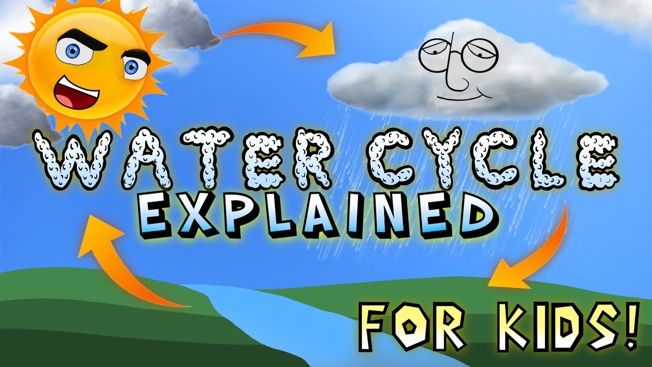 Water Cycle Explained for Kids!