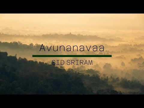 Avunanavaa - Lyric Video| Ori Devuda| Vishwak Sen,Mithila| Ashwath Marimuthu| Leon James| Sid Sriram