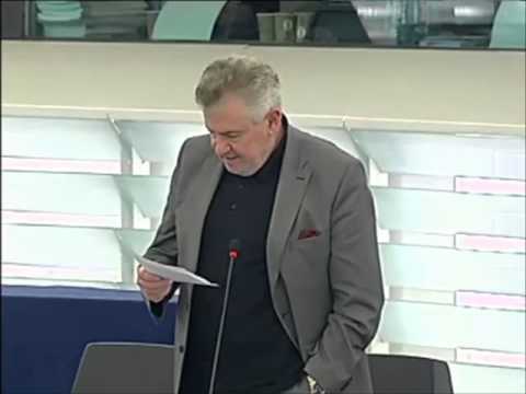 Andreas MÖLZER - Situation in Egypt (debate) - 13-03-2013