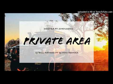 Private Area [DJ MINI X DJ BILL REMIXX] 2024