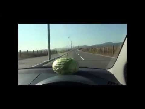 20141109潮風キャベツCM（チーム赤星）
