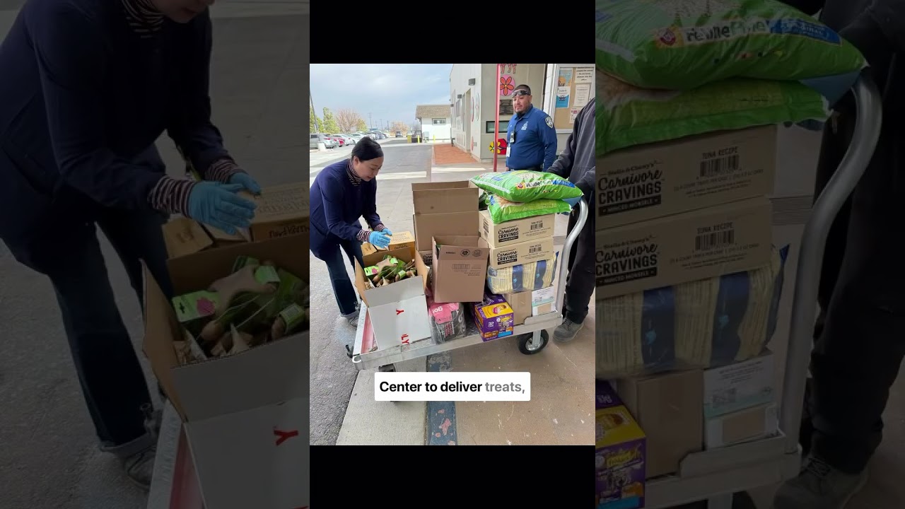 A day in the life at CUDDLY - click to play