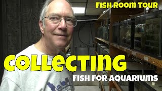 Years of Collecting Killifish and this is What he Breeds in his Fish Room