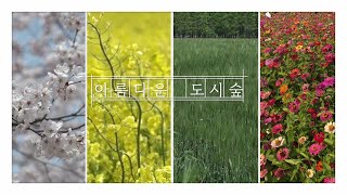 [#Walking Forest] 연말결산! 대한민국 도시숲의 봄, 여름, 가을, 겨울