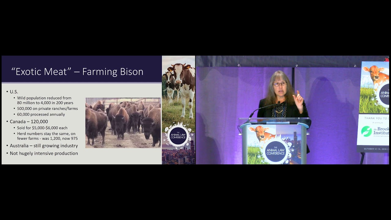 “Factory Farming” of Other Species: What You May Not Know, and What You Can Do About It