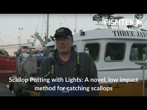 Scallop Potting with Lights: A novel, low impact method for catching scallops.