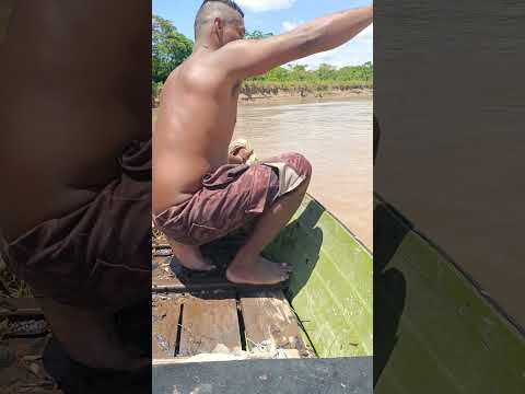 pescando en el rio catatumbo Edo Zulia