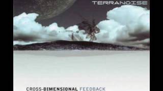 TERRANOISE - BRAINIAC