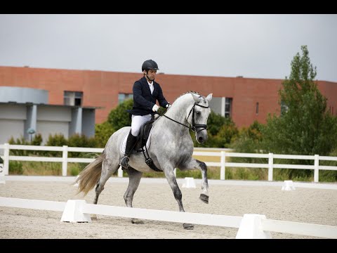 Lizarran & Eloi Morgado - CDN Beloura FEI 6Y 26/27 June 2021