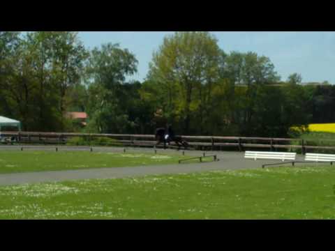 Kronshof-special - S2.V2 - www.isibless.de