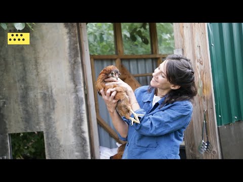 Regenerative Landwirtschaft - für lebendigen Boden