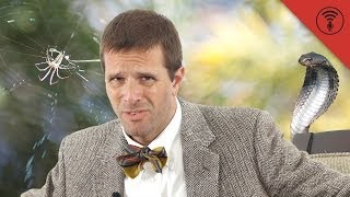 Can You Immunize Yourself to Poison? - Don't Be Dumb