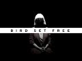 Sia - Bird Set Free (Subtitulado al Español)
