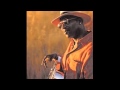 Taj Mahal- That's how strong my love is