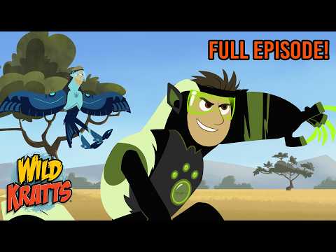 Bass Class | Wild Kratts | Scholastic International