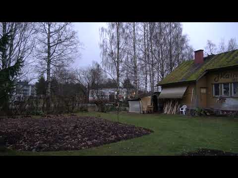 Älä kaada puuta vajan päälle