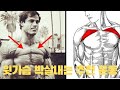 [추천운동] 윗가슴에 색다른 자극 이 운동!!