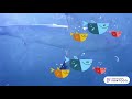 Kindergarten Subtraction Fish 6 3