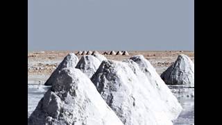 Saltland-Treehouse Schemes