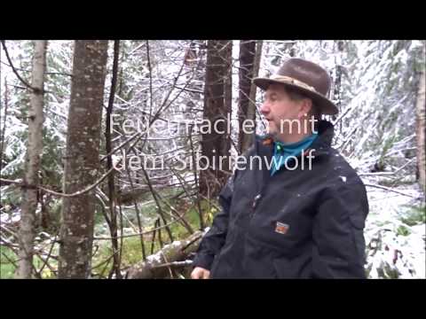Überleben in der Wildnis !Tipps zum Feuermachen vom Sibirienwolf Überleben in der Wildnis !Tipps zum Feuermachen vom Sibirienwolf
