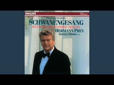 Schubert: Schwanengesang, D.957 - Der Doppelgänger