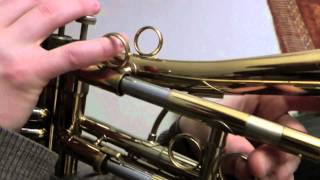 Hayden Powell - Firebird trumpet improvisation