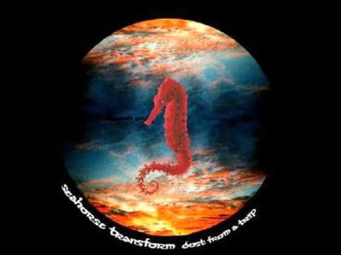 Seahorse Transform - Dust From A Trip [Full Album]