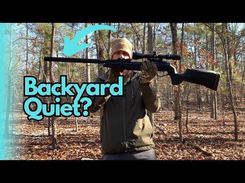 Gamo Swarm Maxxim G2 Review