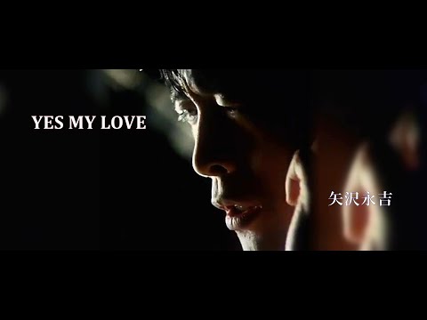 YES MY LOVE / 矢沢永吉