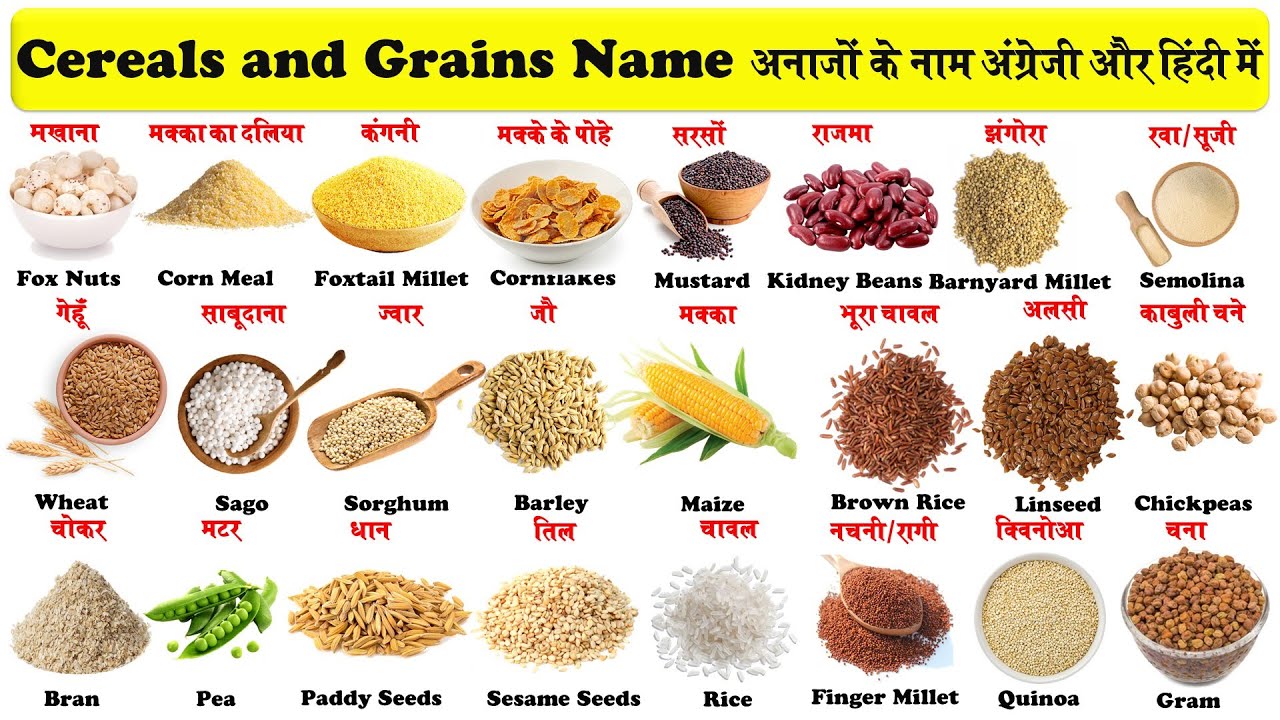 cereals and grains name in english and hindi with pictures | अनाजों के नाम इंग्लिश और हिंदी में |