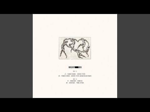 Archive Fever (Adamo Golan Remix)