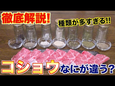 , title : '【スパイス】コショウの全てがわかる動画！！プロが解説します！'