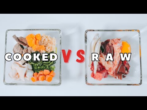 Raw Vs. Cooked Pet Food - Which Is Better?