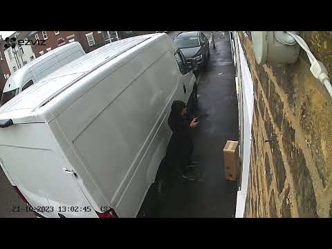 Thieving delivery driver