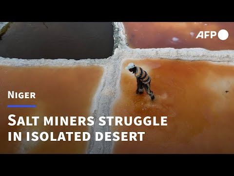 Sahara salt-miners search for a better future in Niger | AFP