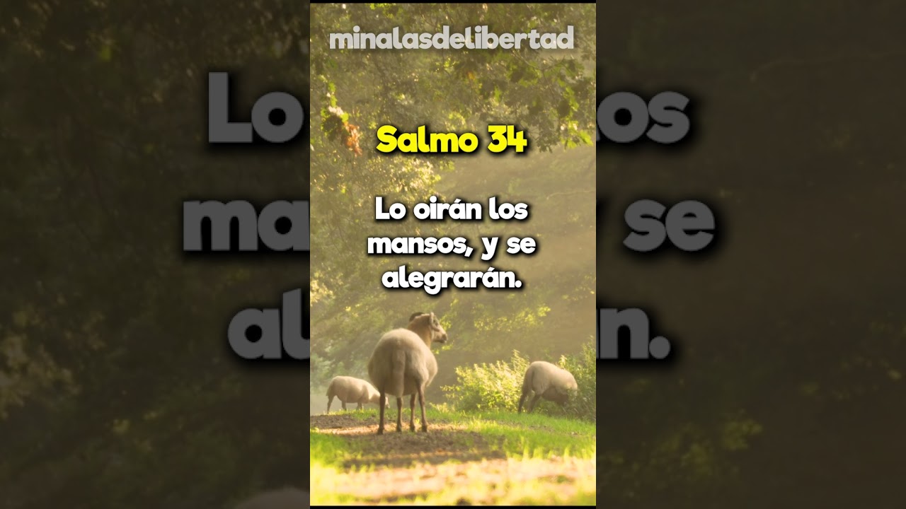 Psalm 34: Praise that transforms lives