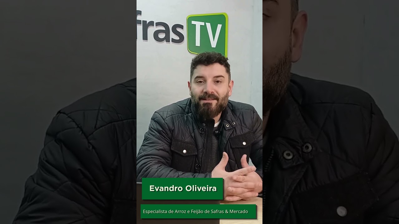 Aprenda a comercializar melhor no mercado de arroz