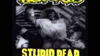 Blitzkid   Motel Hell   Studio Dead live
