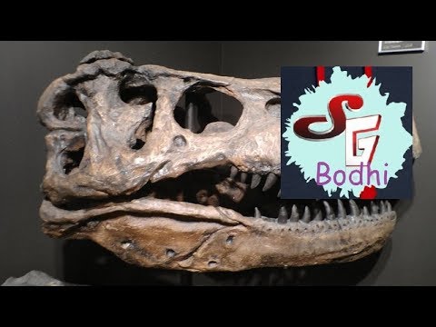 Visite : Welt der Kristalle