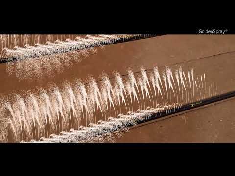 фото голден спрей w-2 0