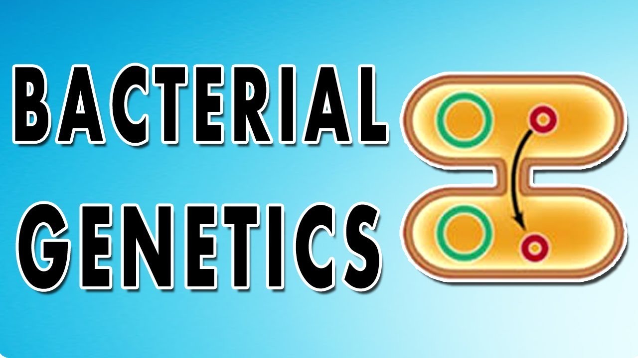 Transformation, Conjugation, Transposition and Transduction